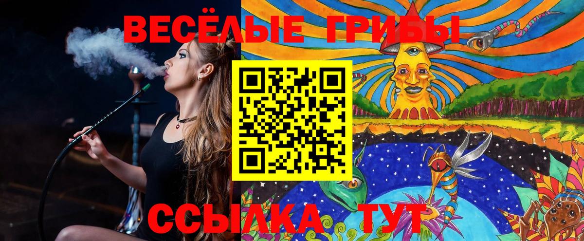 Псилоцибиновые грибы Magic Shrooms  Вход с VPN  Кувандык 